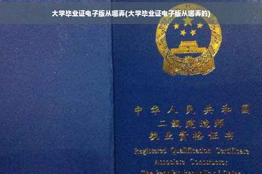 大学毕业证电子版从哪弄(大学毕业证电子版从哪弄的)