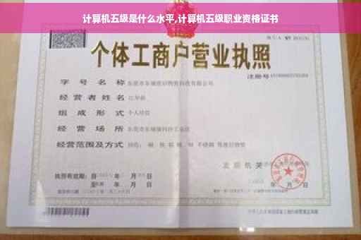 计算机五级是什么水平,计算机五级职业资格证书