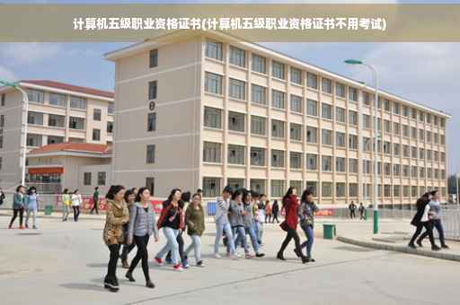 计算机五级职业资格证书(计算机五级职业资格证书不用考试)