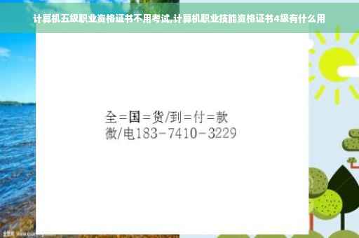 计算机五级职业资格证书不用考试,计算机职业技能资格证书4级有什么用