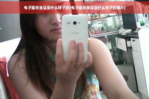 电子版毕业证是什么样子的(电子版毕业证是什么样子的图片)