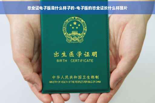 毕业证电子版是什么样子的-电子版的毕业证长什么样图片