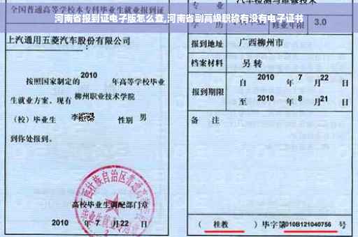 河南省报到证电子版怎么查,河南省副高级职称有没有电子证书