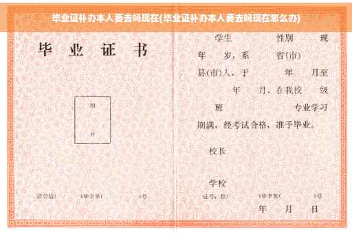 毕业证补办本人要去吗现在(毕业证补办本人要去吗现在怎么办)