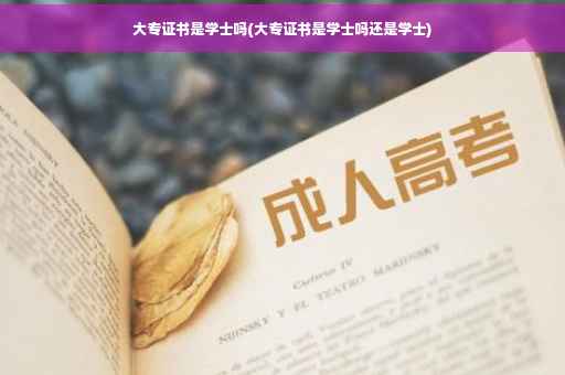 大专证书是学士吗(大专证书是学士吗还是学士)