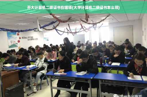 开大计算机二级证书在哪领(大学计算机二级证书怎么领)