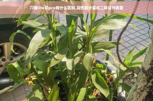 刀锋lite和pro有什么区别,高性能计算机二级证书类型