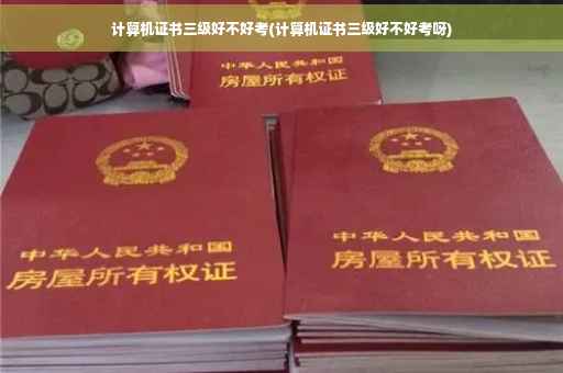 计算机证书三级好不好考(计算机证书三级好不好考呀)