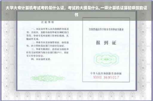 大学大专计算机考试考的是什么证，考试的大纲是什么,一级计算机证算初级技能证书