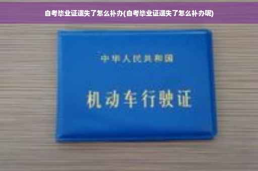 自考毕业证遗失了怎么补办(自考毕业证遗失了怎么补办呢)