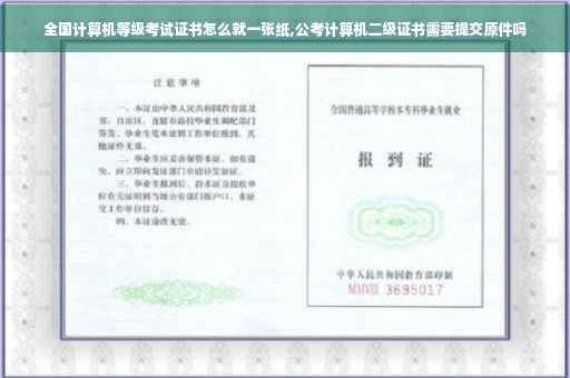 全国计算机等级考试证书怎么就一张纸,公考计算机二级证书需要提交原件吗
