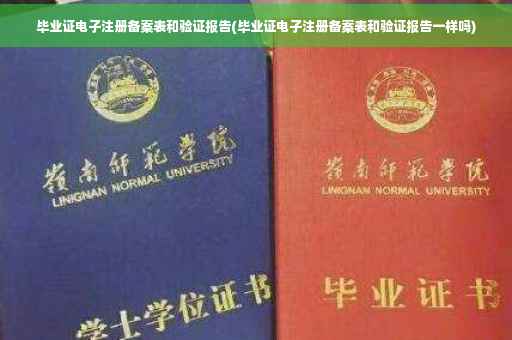 毕业证电子注册备案表和验证报告(毕业证电子注册备案表和验证报告一样吗)