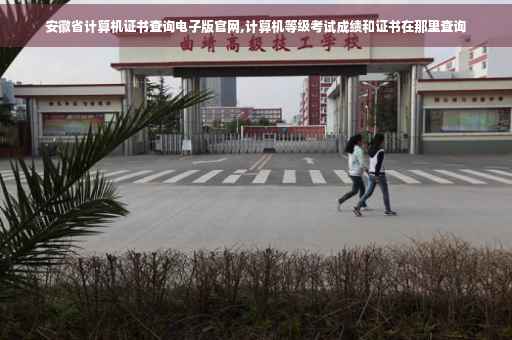 安徽省计算机证书查询电子版官网,计算机等级考试成绩和证书在那里查询