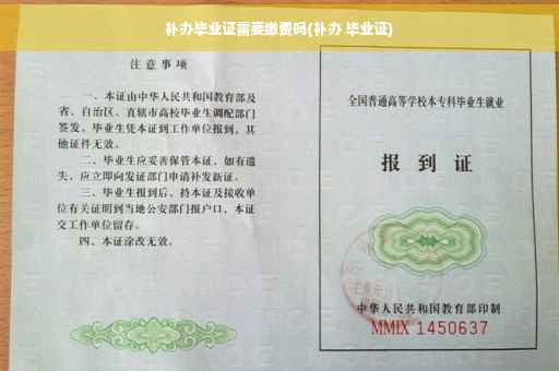 补办毕业证需要缴费吗(补办 毕业证)