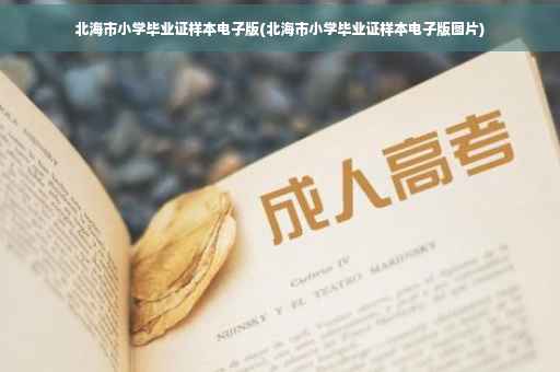 北海市小学毕业证样本电子版(北海市小学毕业证样本电子版图片)