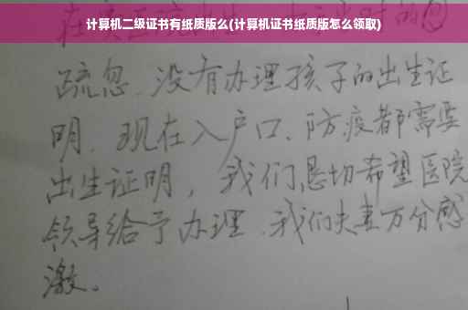 计算机二级证书有纸质版么(计算机证书纸质版怎么领取)