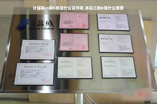 计算机一级b类是什么证书啊,本科三类B是什么意思