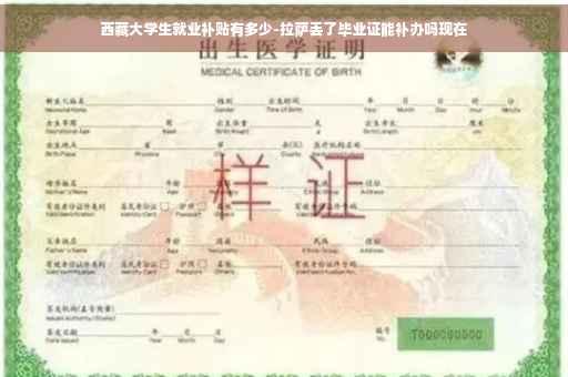 西藏大学生就业补贴有多少-拉萨丢了毕业证能补办吗现在