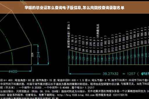 学姐的毕业证怎么查询电子版信息,怎么向院校查询录取名单