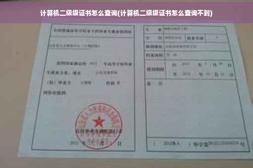 计算机二级级证书怎么查询(计算机二级级证书怎么查询不到)
