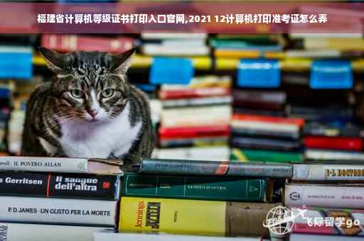 福建省计算机等级证书打印入口官网,2021 12计算机打印准考证怎么弄