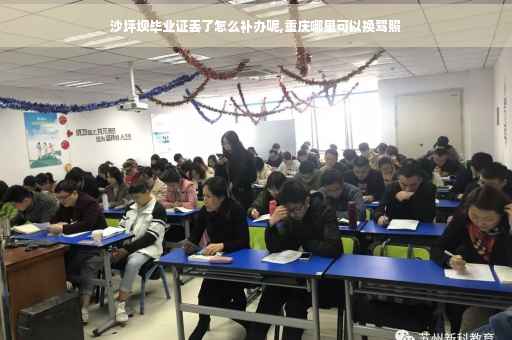 沙坪坝毕业证丢了怎么补办呢,重庆哪里可以换驾照