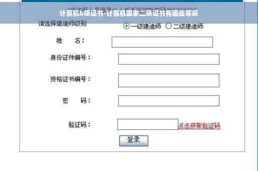 计算机b级证书-计算机国家二级证书有哪些等级