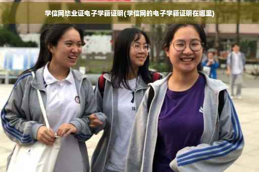 学信网毕业证电子学籍证明(学信网的电子学籍证明在哪里)
