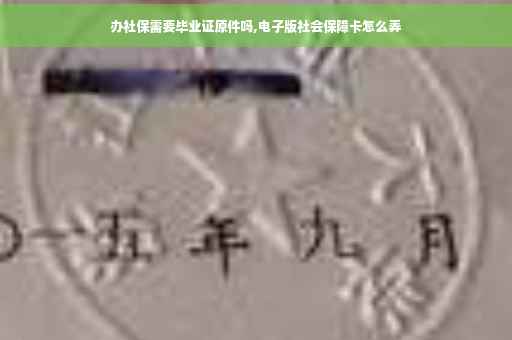 办社保需要毕业证原件吗,电子版社会保障卡怎么弄