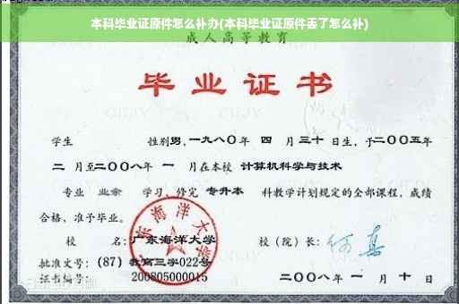 本科毕业证原件怎么补办(本科毕业证原件丢了怎么补)