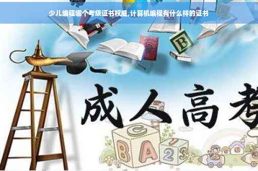 少儿编程哪个考级证书权威,计算机编程有什么样的证书 少儿编程哪个考级证书权威,计算机编程有什么样的证书