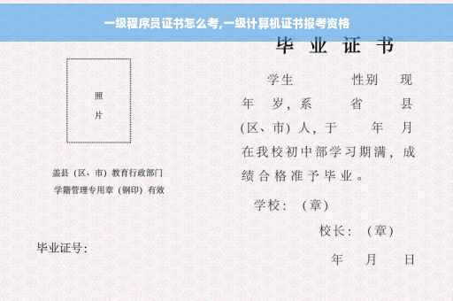 一级程序员证书怎么考,一级计算机证书报考资格