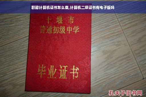 职称计算机证书怎么查,计算机二级证书有电子版吗