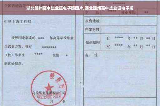 湖北随州高中毕业证电子版图片,湖北随州高中毕业证电子版