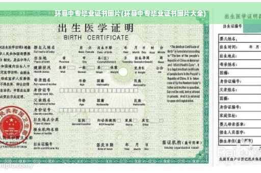 环县中专毕业证书图片(环县中专毕业证书图片大全)