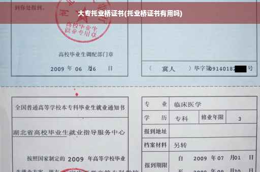 大专托业桥证书(托业桥证书有用吗)