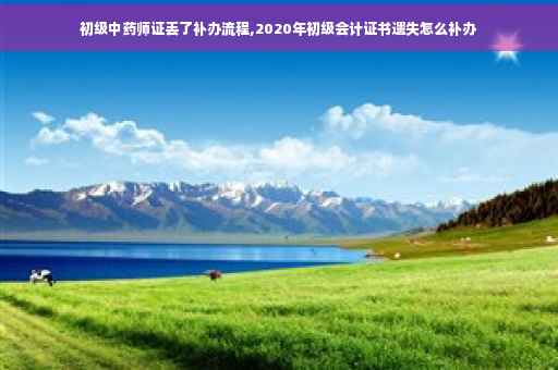 初级中药师证丢了补办流程,2020年初级会计证书遗失怎么补办