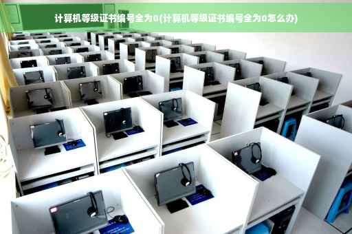 计算机等级证书编号全为0(计算机等级证书编号全为0怎么办)