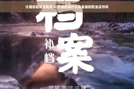 计算机初级证有用吗,计算机有什么含金量的职业证书吗