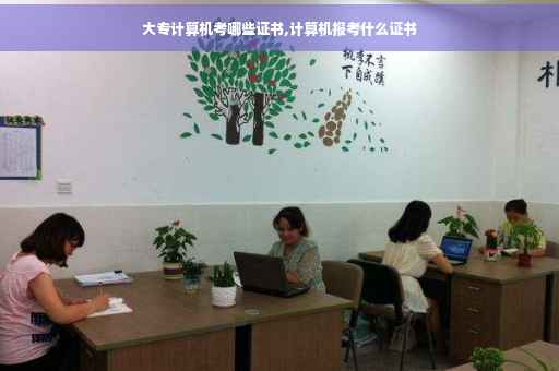 大专计算机考哪些证书,计算机报考什么证书