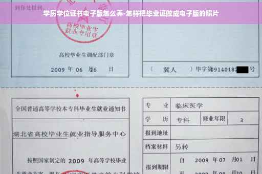 学历学位证书电子版怎么弄-怎样把毕业证做成电子版的照片