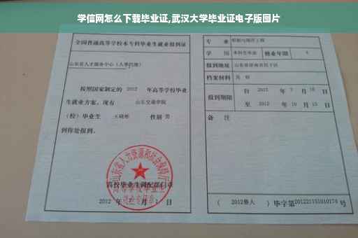 学信网怎么下载毕业证,武汉大学毕业证电子版图片