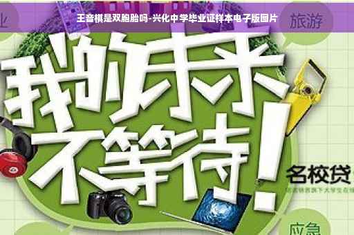 王音棋是双胞胎吗-兴化中学毕业证样本电子版图片