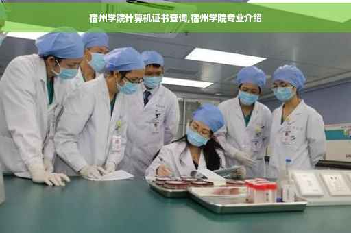 宿州学院计算机证书查询,宿州学院专业介绍