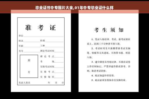 毕业证书中专图片大全,01年中专毕业证什么样