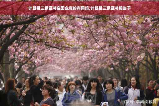 计算机三级证书在国企真的有用吗,计算机三级证书相当于