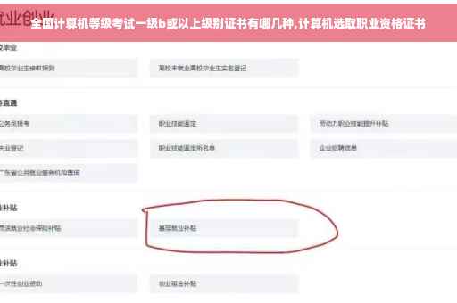 全国计算机等级考试一级b或以上级别证书有哪几种,计算机选取职业资格证书