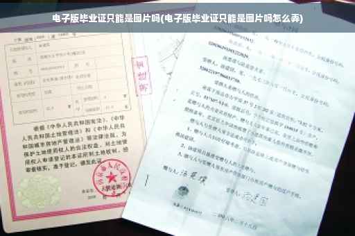 电子版毕业证只能是图片吗(电子版毕业证只能是图片吗怎么弄)