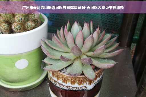 广州市天河吉山医院可以办理健康证吗-天河区大专证书在哪领