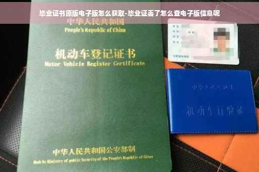 毕业证书原版电子版怎么获取-毕业证丢了怎么查电子版信息呢